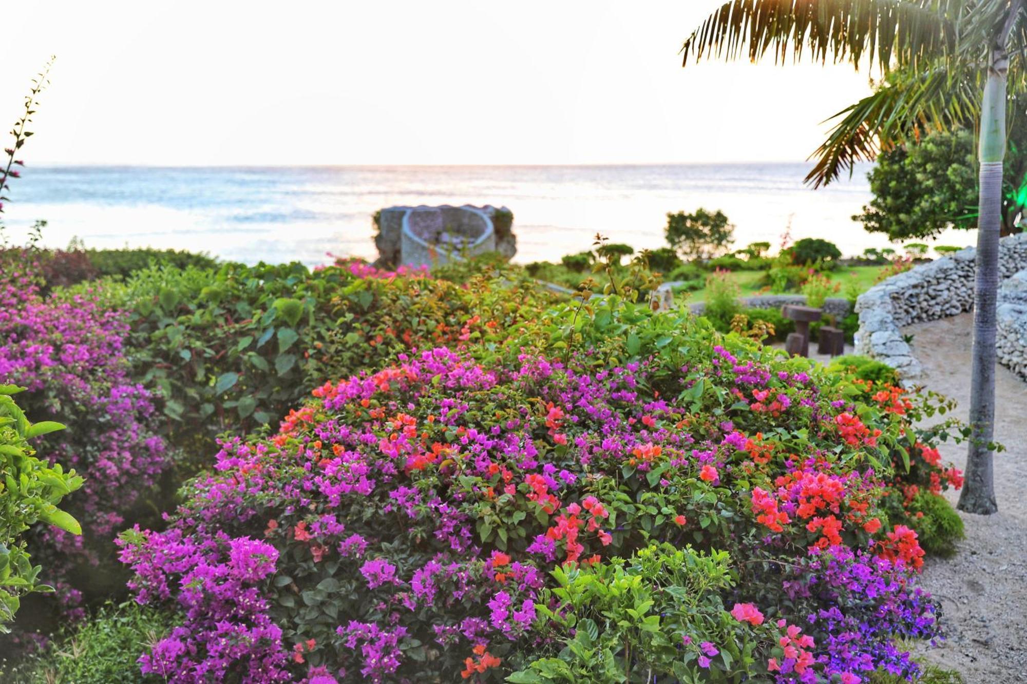 Tanna Evergreen Resort & Tours Iuiak Exterior foto